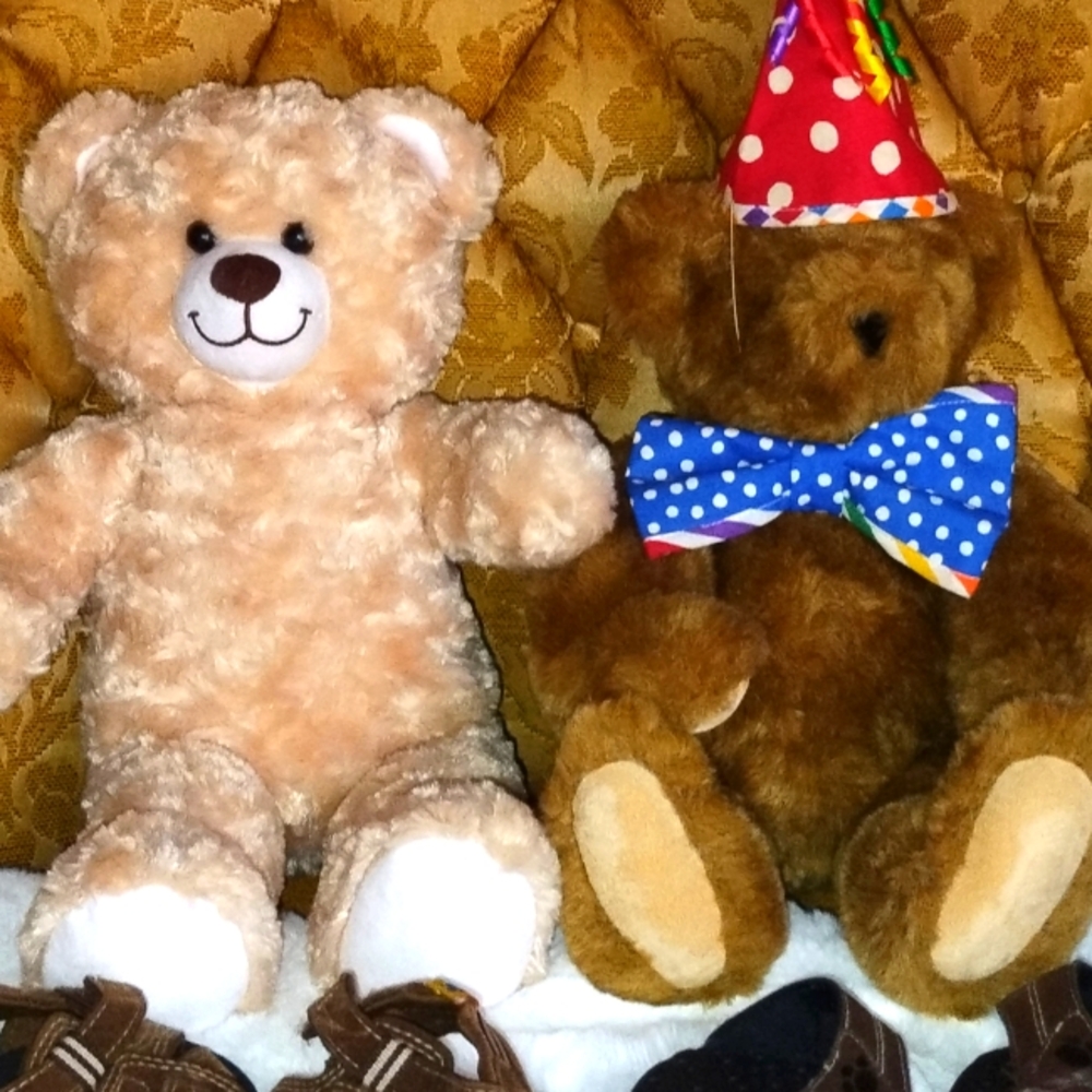 Teddy Bear Bundle Vermont Jointed Happy Birthday Bear and Build A Bear Shoes
